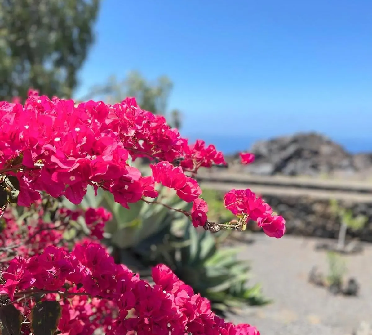 Casa Caro, Las Norias Las Manchas  Las Manchas (La Palma)